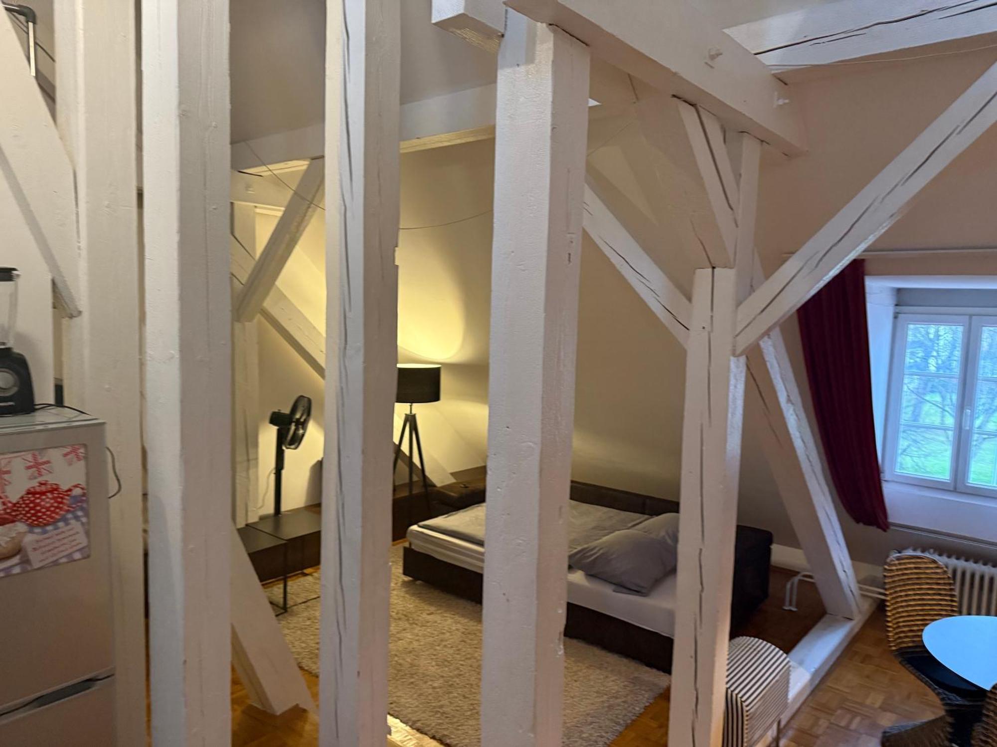 Whliving - Apartments & Studios In コンスタンツ エクステリア 写真